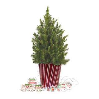 Christmas Critters Potted Spruce Tree