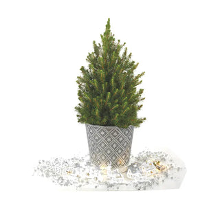 Silver And White Winter Potted Spruce Tree