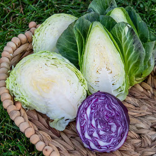 Gourmet Cabbage Sampler