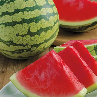 Gurney's® Delight Improved Hybrid Watermelon Seed