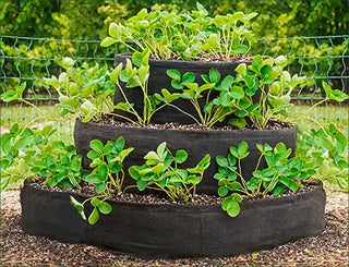 Container Gardening