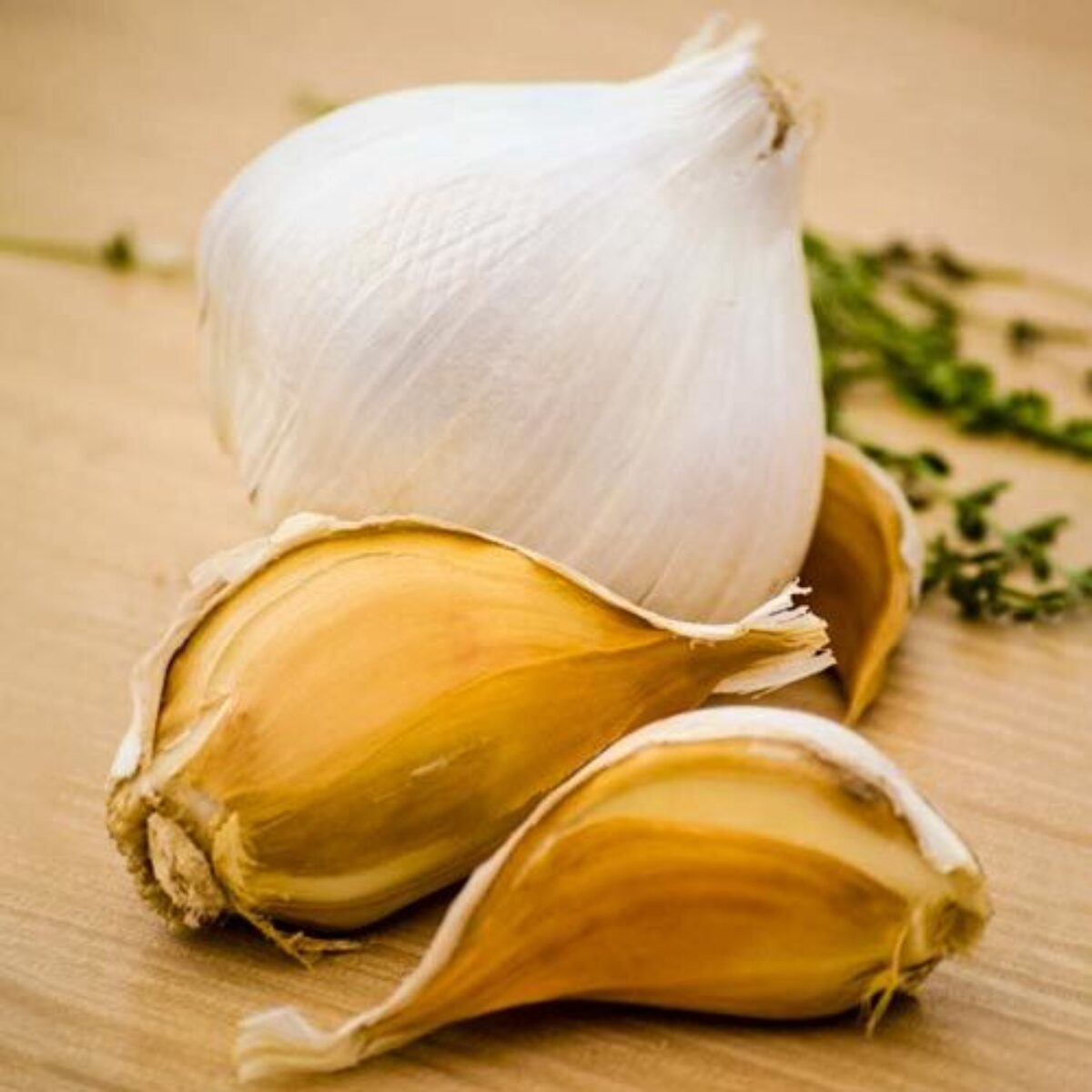 How to grow green garlic at home - Vanita's Corner
