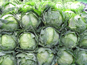 Cruciferous Cabbage